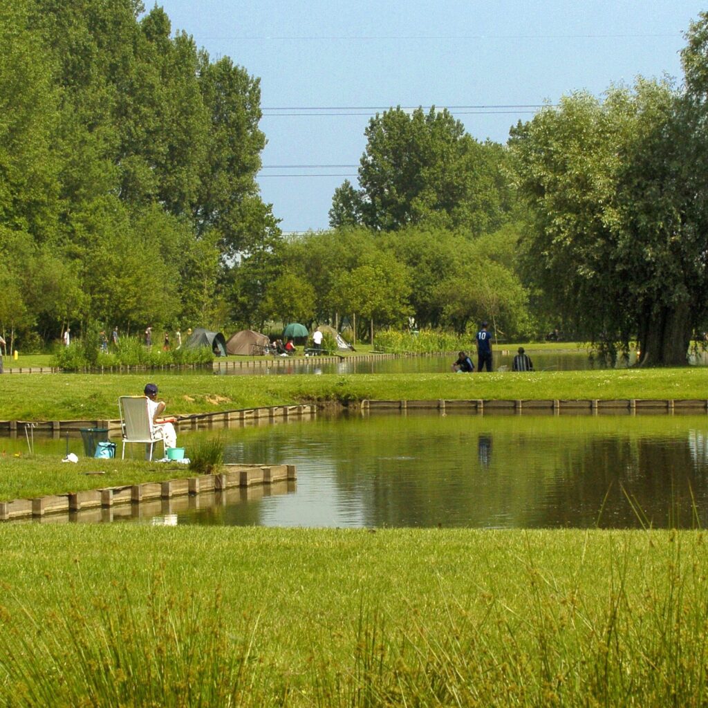 Activités enfants etang