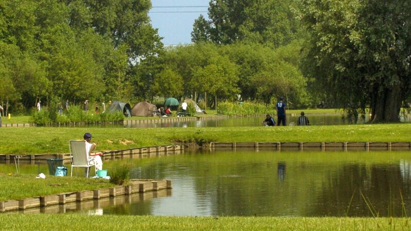 Activités enfants etang