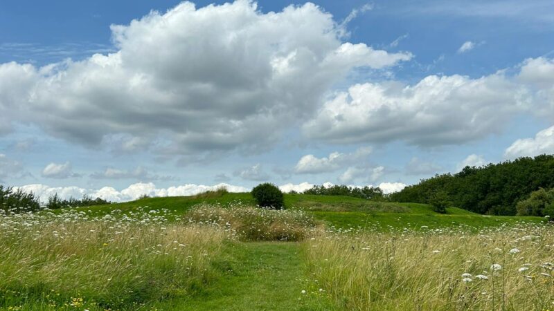 sortie enfant lille métropole gratuite