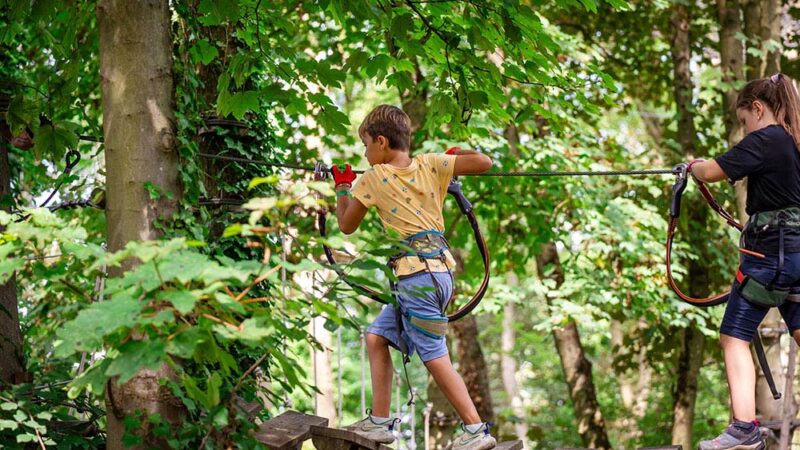accrobranche enfant activité lille